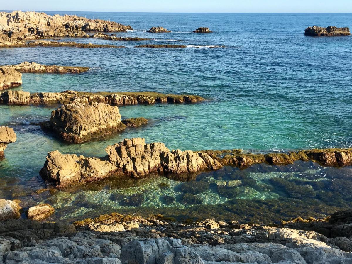 Artistic Antibes Apartment Εξωτερικό φωτογραφία